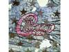 [CD] Chicago III Обычное издание Chicago WPCR-85049 Forever Young Vol.3 Рок НОВЫЙ