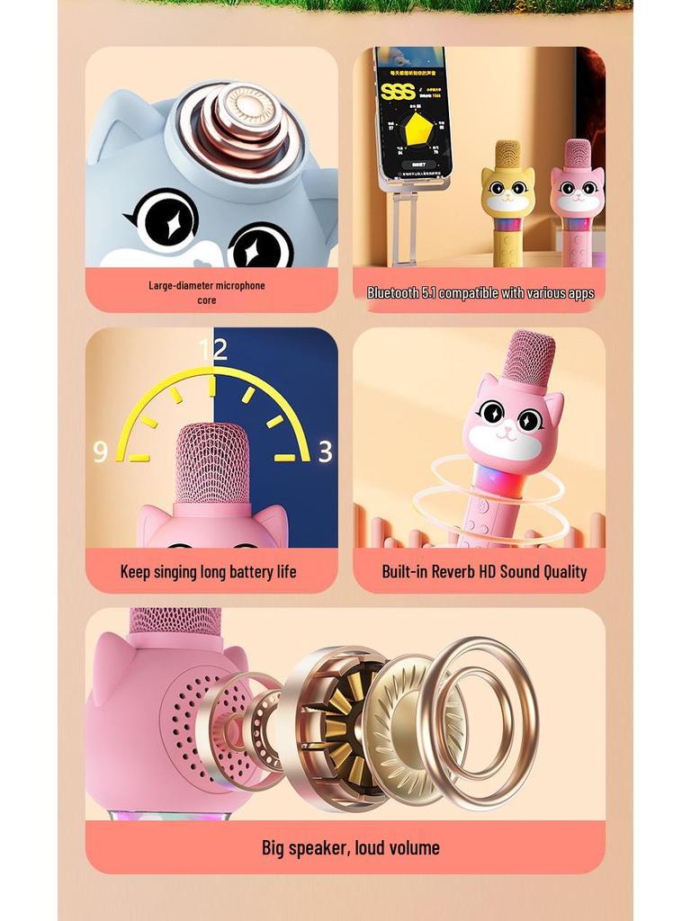 Wireless Kids' Karaoke Microphone & Speaker: Echo, Singing, & Early Education Toy for Little Girls