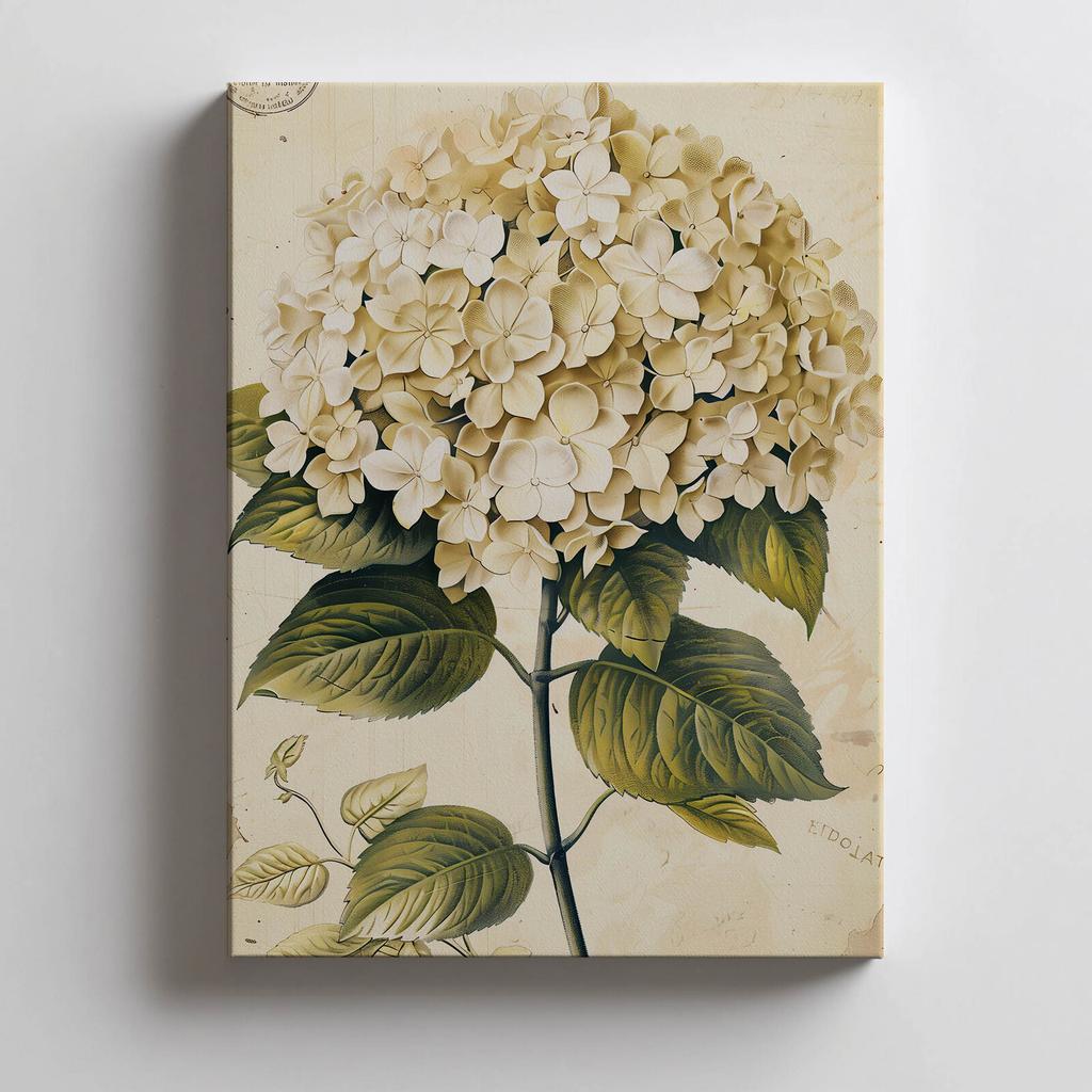 Klasyczna Hortensja Klasyczna Hortensja, 50X70 Cm, Bez Ramy, Papier Matowy 230 Gsm