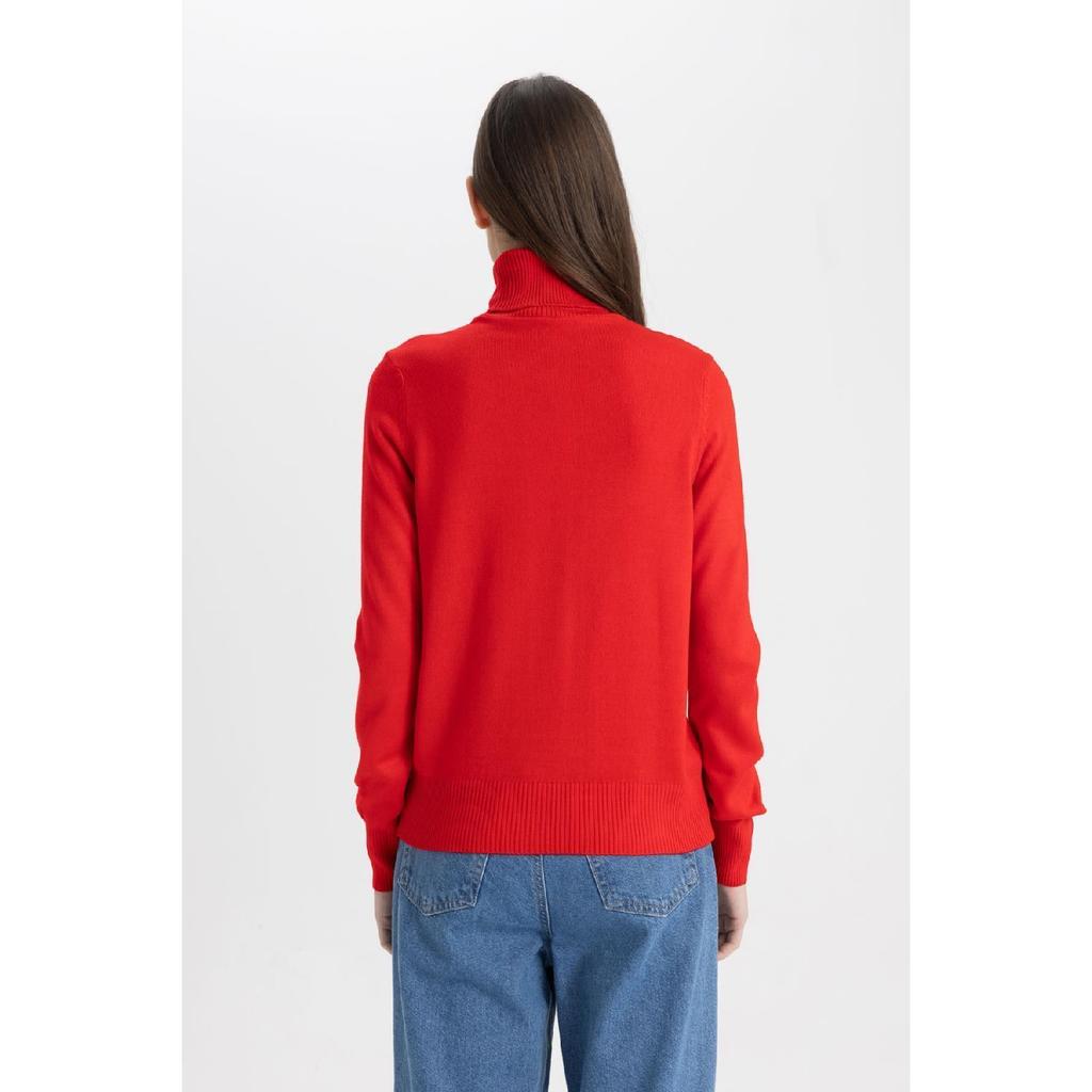 Regular Fit Soft Textured Turtleneck Basic Plain Knitwear Sweater H1651az24wn