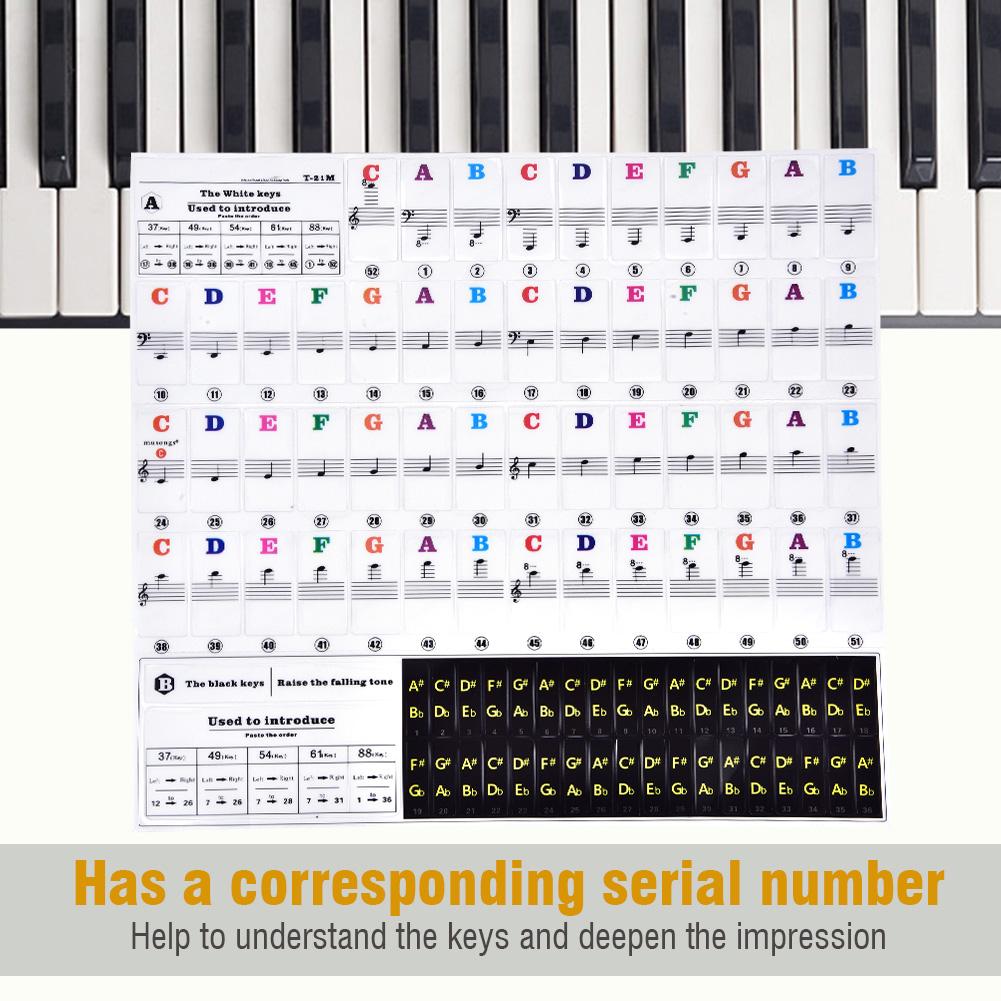 Piano Keys Sticker Set for Key Keyboards Removable for Beginners T21 M (Multicolor)