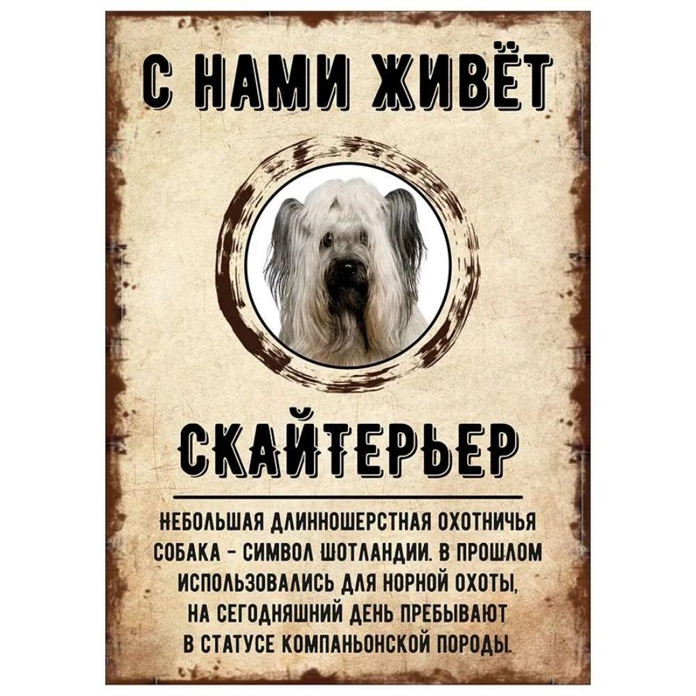 ОСТОРОЖНО СОБАКА Забавная Шнауцер Металлическая Табличка Декор для Питомца 20x30см