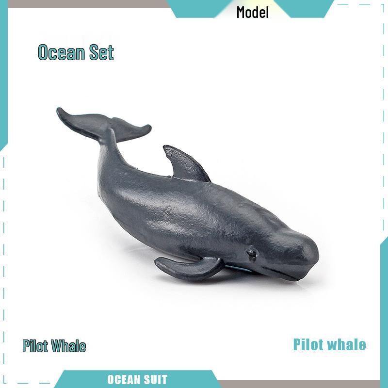 Children's Marine Animal Model Set: Mini Whale, Shark, Dolphin, Turtle, Sea Lion