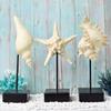 Ocean-Themed Mediterranean Decorations: Starfish, Seahorse, and Conch for Living Room or Restaurant
