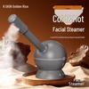 Jindao Hot & Cold Nano Facial Steamer