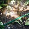 Sprinkler Soaker Hose Drip Irrigation Garden Lawn Watering Spray Hose Set for Garden Lawn Irrigation System Tools