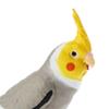 Plastic Bird Sculpture Educational Parrot Ornament Simulation Parrot Figurine  Home Garden