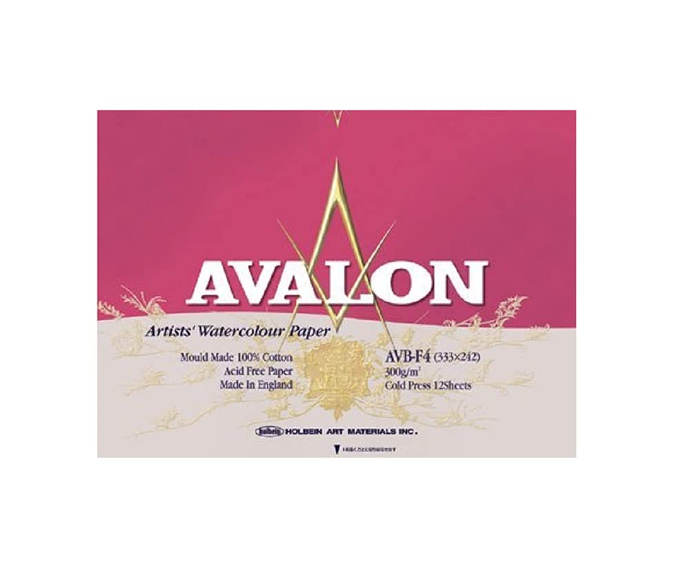 Holbein Avalon AVB-F4 Watercolor Paper Block, F4, Medium Grain, 300 gsm, 12 Sheets, 271003
