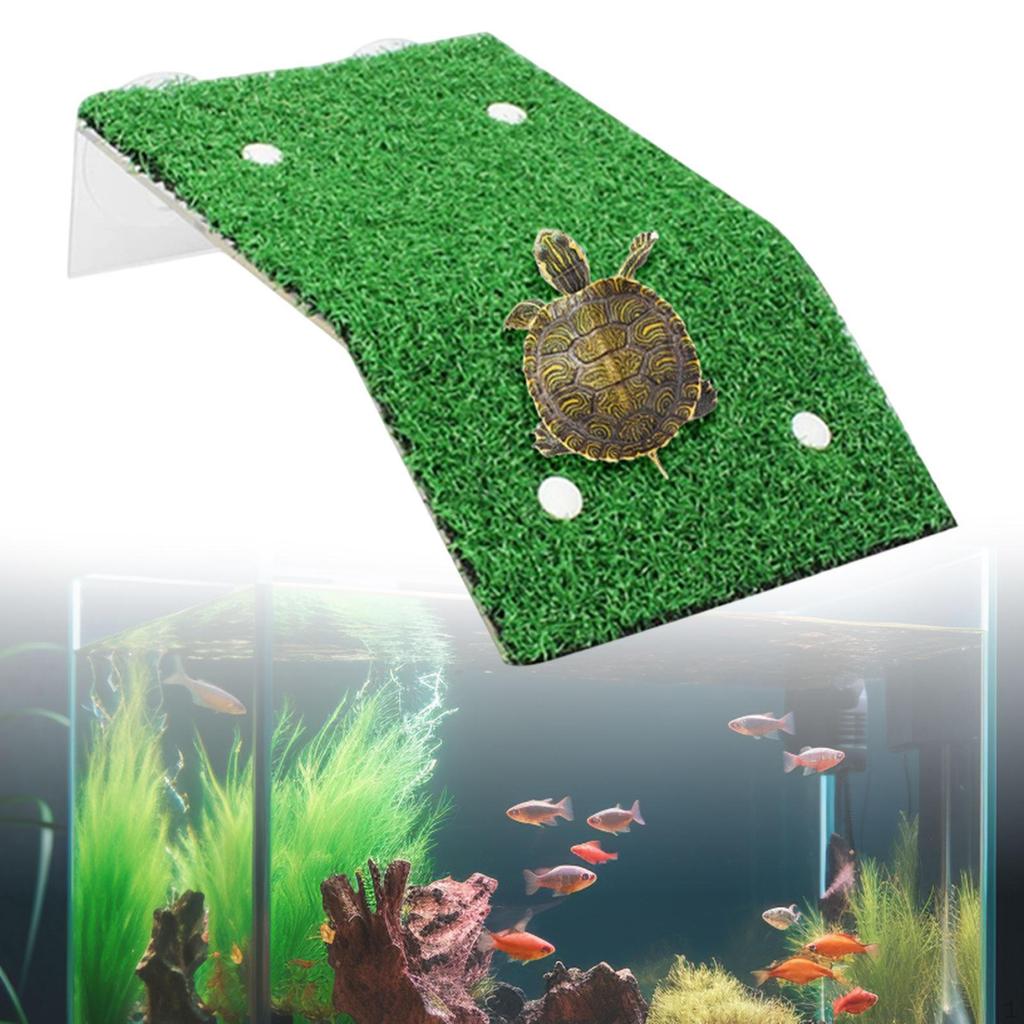 Turtle Basking Platform Accessories Aquarium Feeding Resting Decorative Multi Functional Supplies