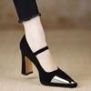 Fashion Women's Shoes 2024 Fashion Buckle Women's Pumps Spring Autumn Pointed Toe Suede Solid Sexy Dress Block Heel Shallow Shoes