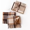 Plaid Imitation Cashmere Scarf Autumn and Winter Korean Version Versatile Japanese Style Warm Student Couple Scarf Men's High End Sense