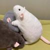 Large Mouse Plush Toy Realistic Rat Stuffed Animal Cute Mouse Plushie for Prank Gags Unique Gift for Rodent Lovers