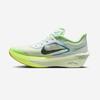 Nike Zoom Fly 6 [FN8454-300]