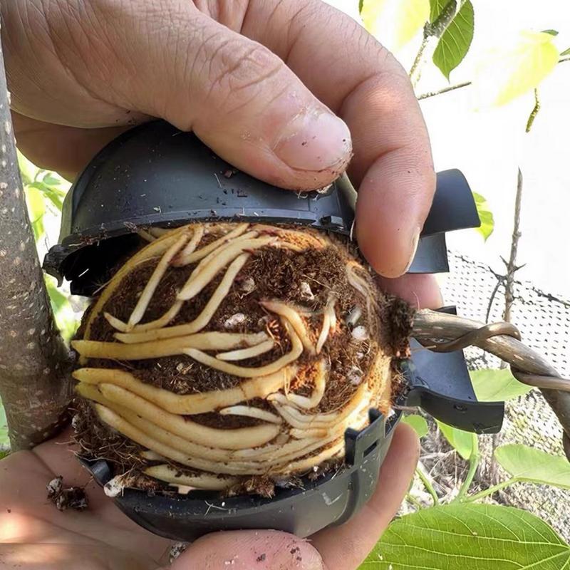 Коробка для выращивания корней растений, Шары для укоренения деревьев, Кейс для прививки фруктовых деревьев, Посадочный субстрат для горшков, Уход, Комнатное садоводство, Аквапоника