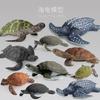 Simulation Animal Model Toy Turtle Doll Ornament Collection Static Animal Boutique Gift Gift