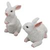 1 пара кроликов, украшения, украшения из смолы, модель животного, скульптура, статуэтка для балкона и сада 