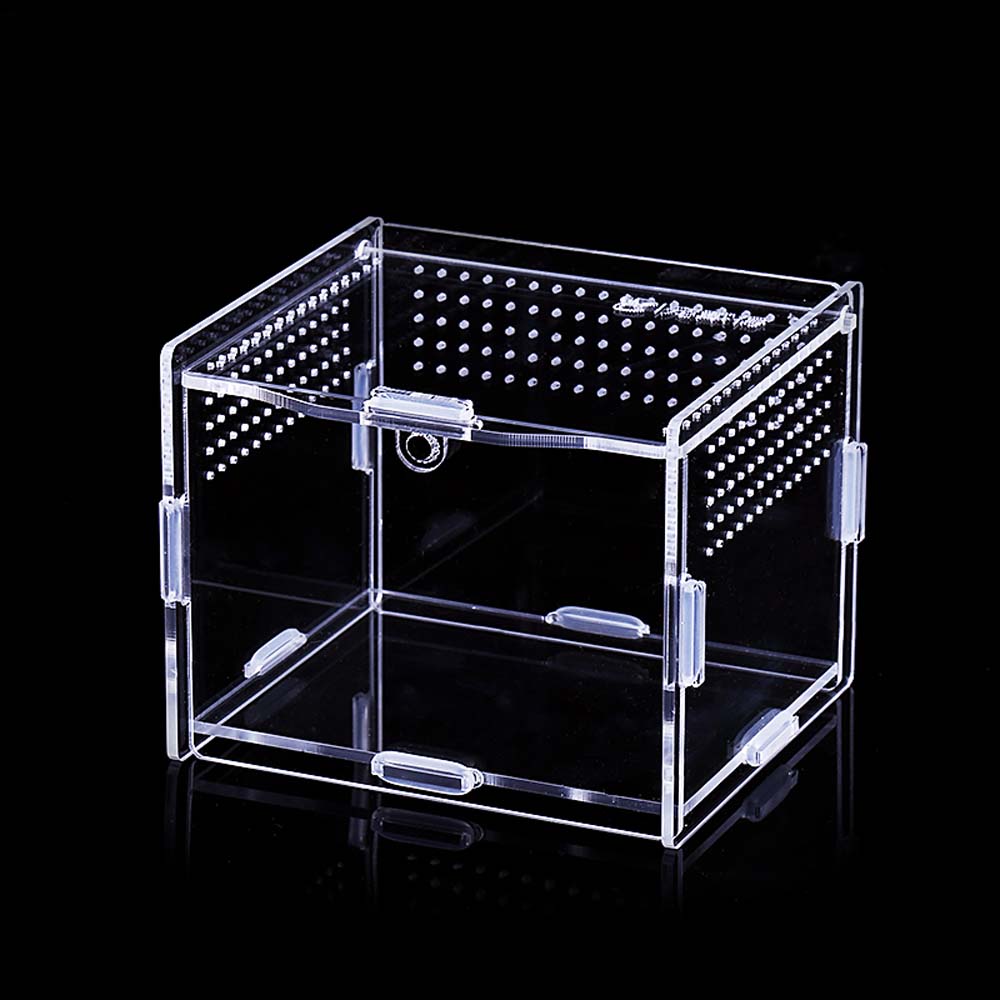 Lizard Hatcher Insect Snakes Reptile Incubator Insect Supplies Breeding Box Hatching Terrariums