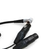 Аудио кабель-разветвитель ZBLZGP, 10-контактный на двойной 3-контактный XLR Female, для видеорегистратора-монитора Atomos Shogun Flame (Угловой штекерный кабель)