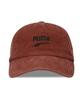 Hat Sunshade PRIME Skate Dad Cap 025502 24 Color Mars Red [PUMA] Fall/Winter (03)