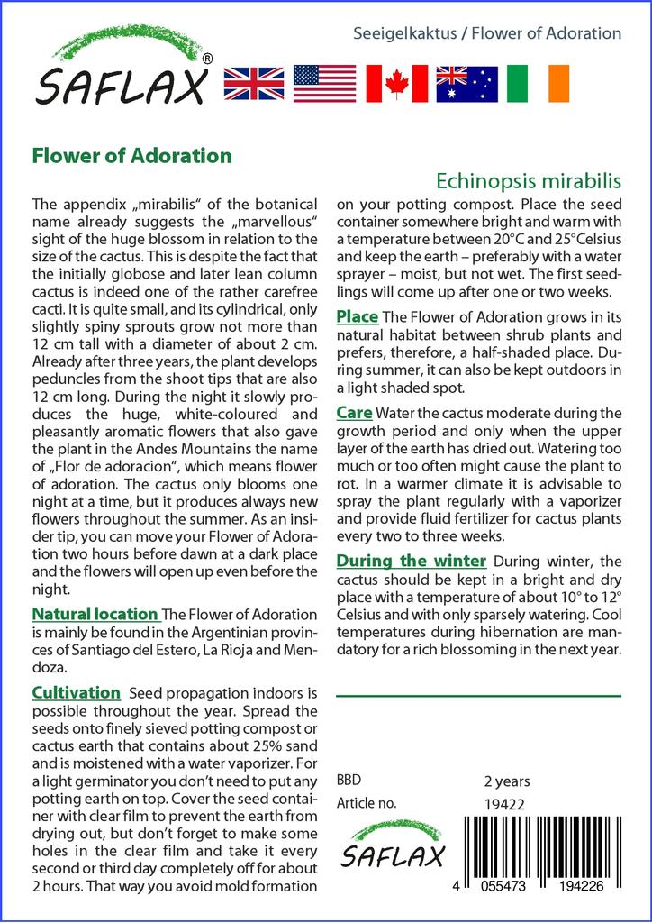 SAFLAX Garden in the Bag - Flower of Adoration - 40 семян - С субстратом в подходящем пакете - Echinopsis mirabilis