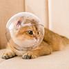 Намордник для космического шлема Gatonine Cat, L, 1 шт.