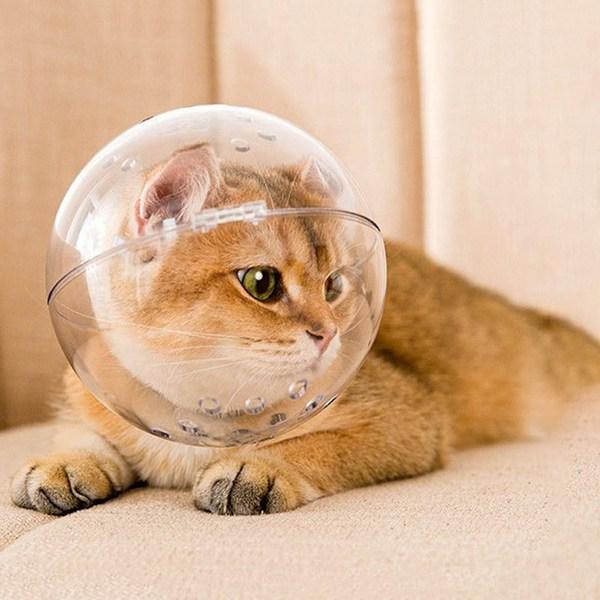 Намордник для космического шлема Gatonine Cat, L, 1 шт.