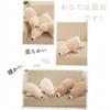 BDHD Premium Sleepy Animals Body Polar Bear and Brown Available in Sizes Fluffy and Squishy Plush Body Gift Polar Pillow, Bear, (Approx. 30cm, 50cm,