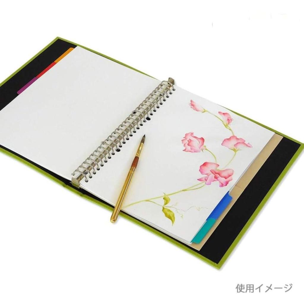 Maruman Drawing 15 sheets per 10 packs Loose-Leaf Paper, A4, Plain, pack, (L1135AX10)
