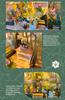 Moin Moin Dollhouse Miniature Handmade Kit Set Scale Antique Retro Flower Shop Cafe Coffee Shop Plant LED Light Acrylic Case Music Box 2408dh428 1/24