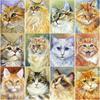 New 5D DIY Diamond Painting Cute Cat Diamond Embroidery Animals Cross Stitch Full Square Round Drill Home Decor Manual Art Gift