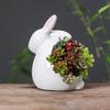 Flower Pot Minimalistic Reusable Anti-deformation Stable Convenient Desktop Decor Ceramic Rabbit Shape Planter Pot Succulent Accessories