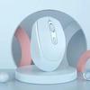 2.4G Беспроводная Bluetooth Двухрежимная Эргономичная Мышь Тихий Щелчок Регулируемый DPI Идеальный Подарок для Офисного Работника Геймера