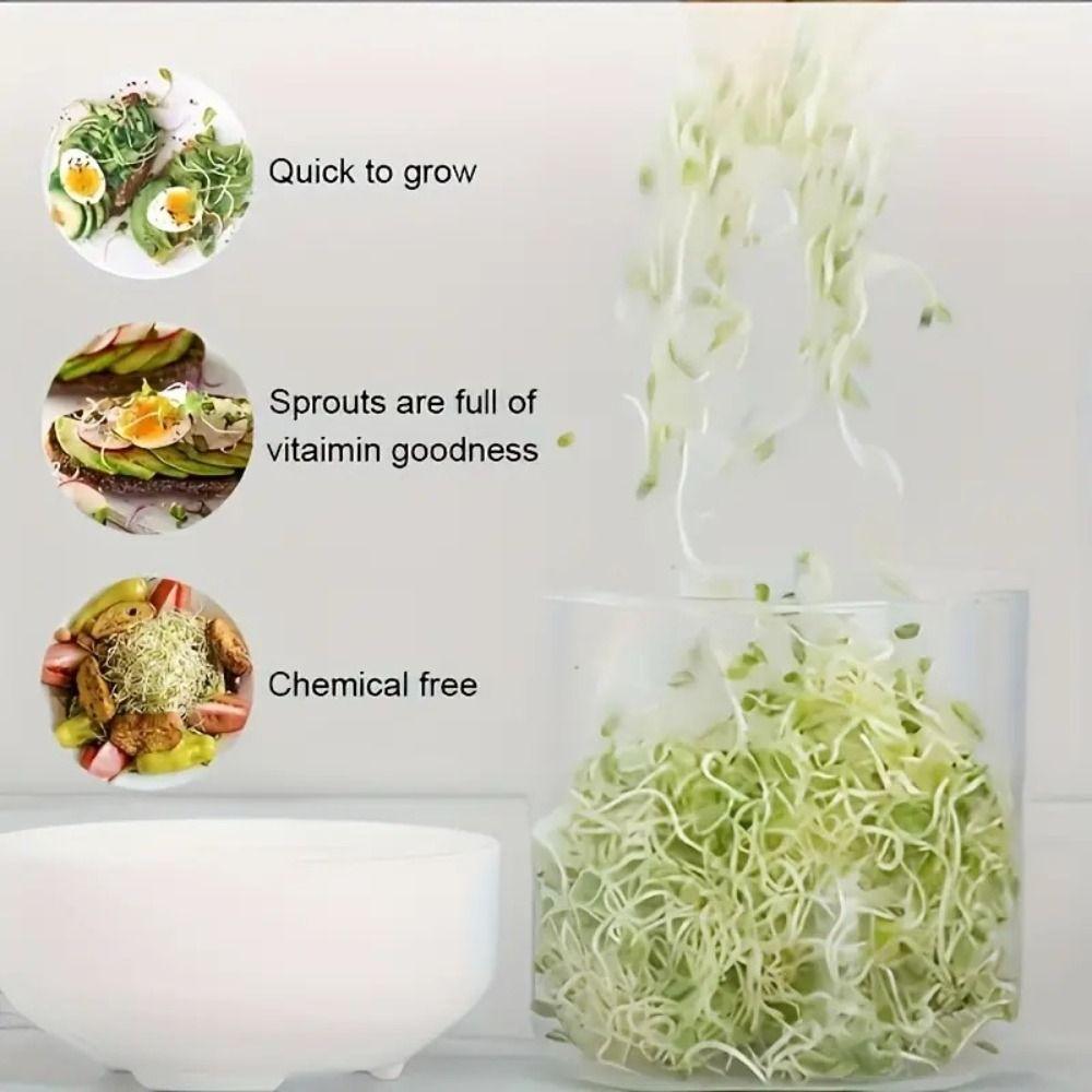 Mini Bean Sprouter Large Capacity Sprout Dish Growing Pot Bean Sprout Growing Machine Pea
