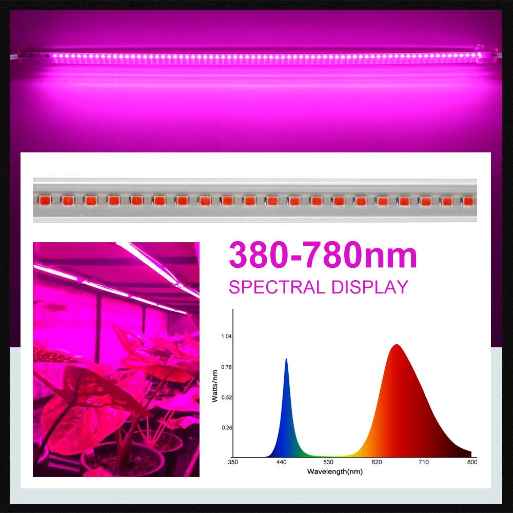 LED Plants Grow Light Tube Full Spectrum Indoor Flower Seeds Hydroponics Succulent Vegetable Cultivation Lamp Growth Box AC220V