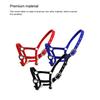 Padded Halter Pony Bridle Head Collar Adjustable Zinc Alloy Protective Gear Handily Wear Horse Supplies Solidness