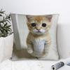 Смешные мем-наволочки для кошек Подушка Смешная наволочка Индивидуальные наволочки Для дивана Спальни Домашний декор