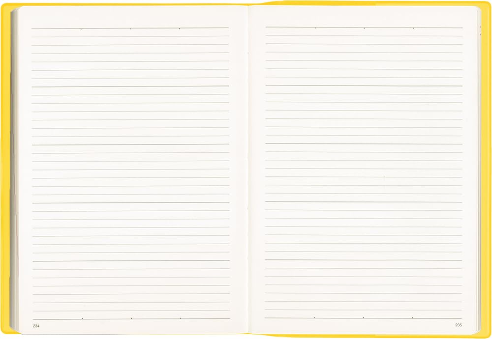 Hakubunkan 2026 A5 Business Mango 252 January 5-Year Diary, No. (Starts 2026)