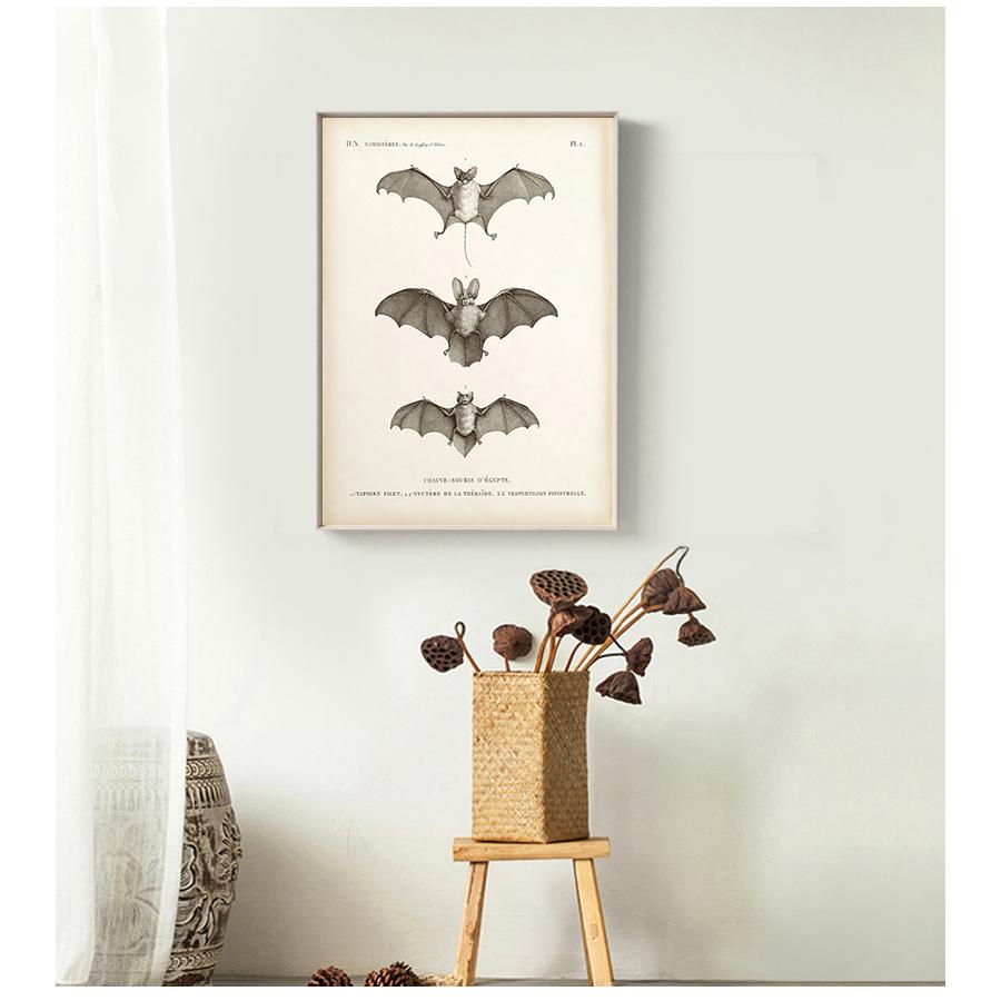 Художественная картина на холсте, антикварный постер с изображением летучей мыши, настенная картина для гостиной, украшения дома, винтажный принт с летучей мышью, стена на Хэллоуин