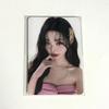 Amuse Wonyoung Photocard 2 Disc Set 