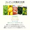 Фруктовый травяной Санзаши 900 мл разбавленный тип набор из 6 бутылок (для интерпретации)