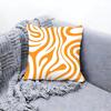 Cute Zebra Pattern Print Cushion Cover Premium Comfort Reversible Pillow Cove Two in One Design for Any Room  Car Interior