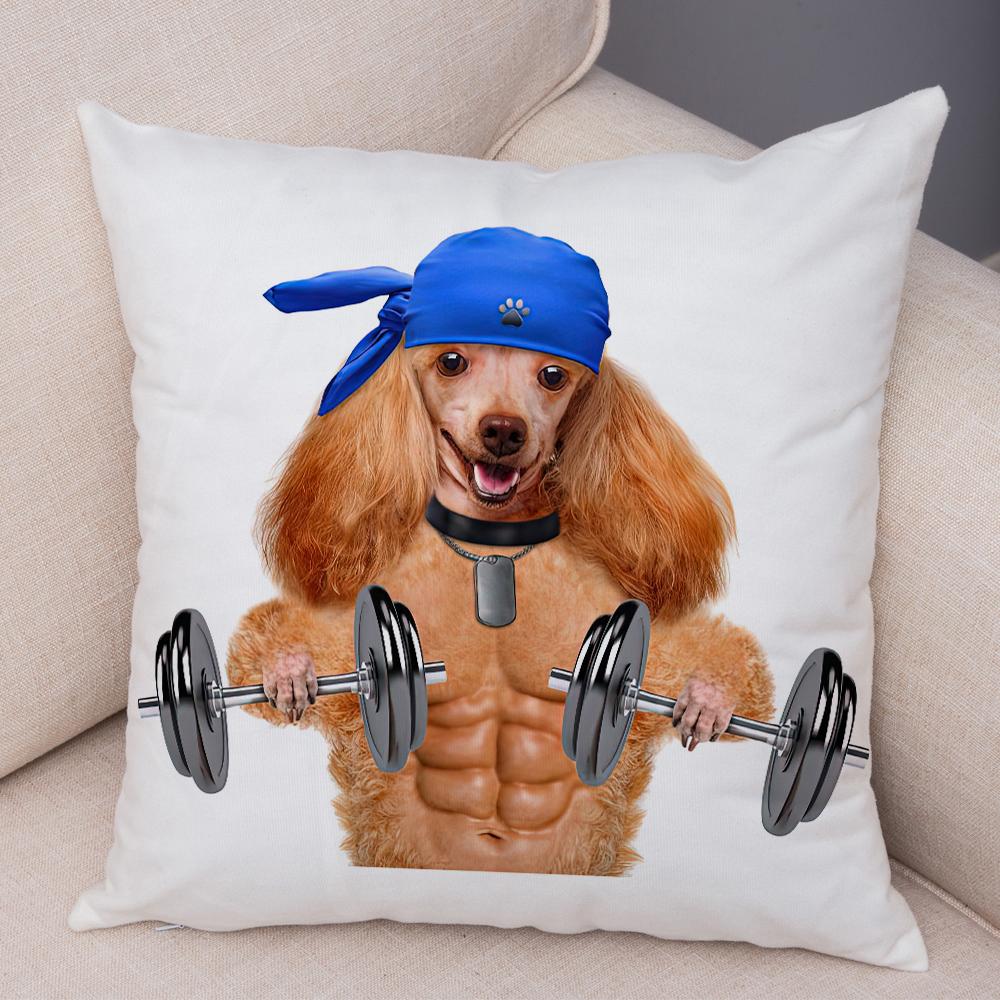 Funny Cat Dog Cushion Cover Fitness Animal Dumbbell Print Soft Fabric Living Room Sofa Home Decor Pillow Case