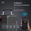 MALONE Portable Bluetooth Karaoke Speaker with Wireless Microphones (CN version)