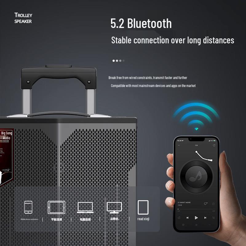 MALONE Portable Bluetooth Karaoke Speaker with Wireless Microphones (CN version)