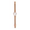 SKAGEN SKW2665 FREJA Сетчатые женские часы [Параллельный импорт]