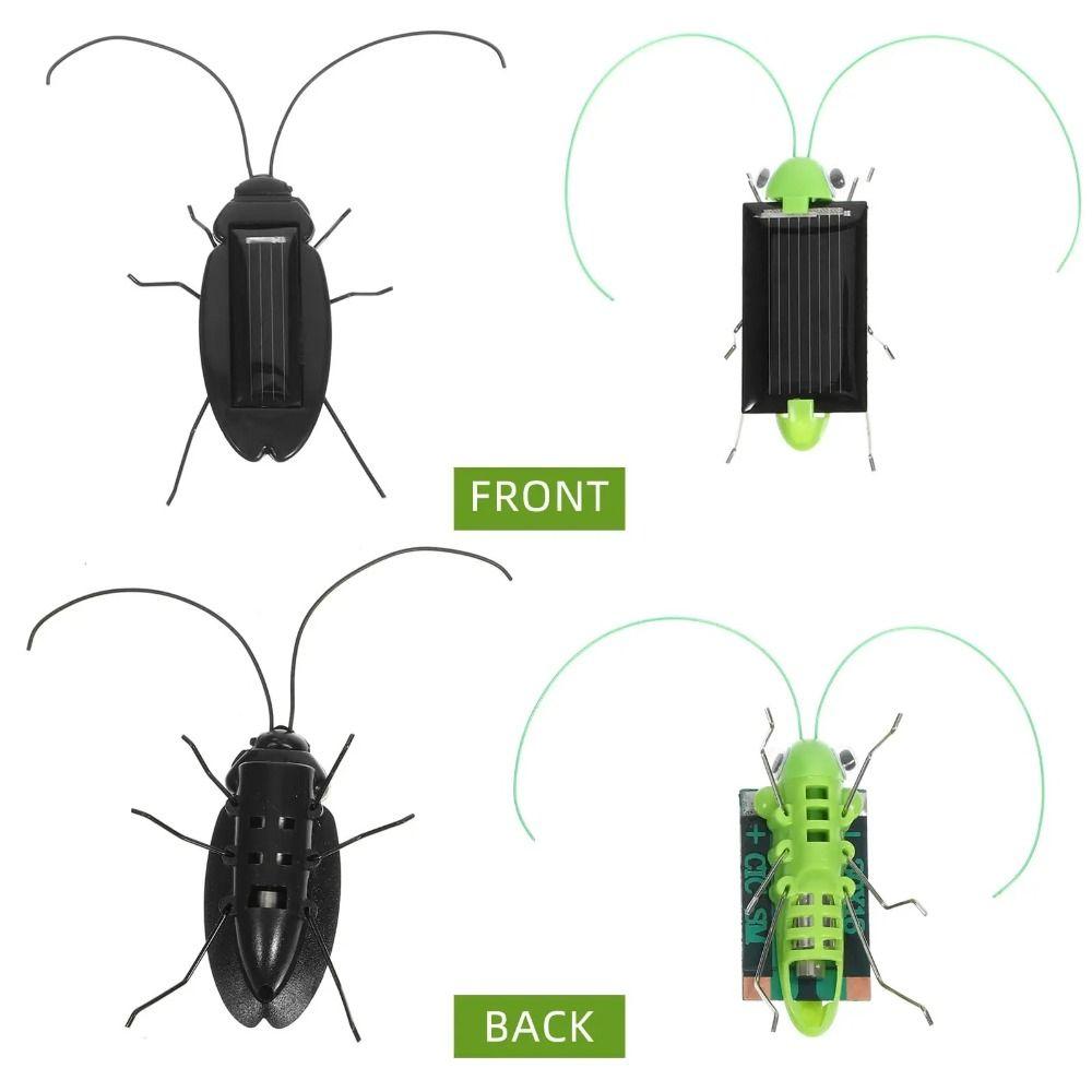 Cockroach Simulation Insect Toy Grasshopper Science Education Toy Funny Puzzle Toy  Children