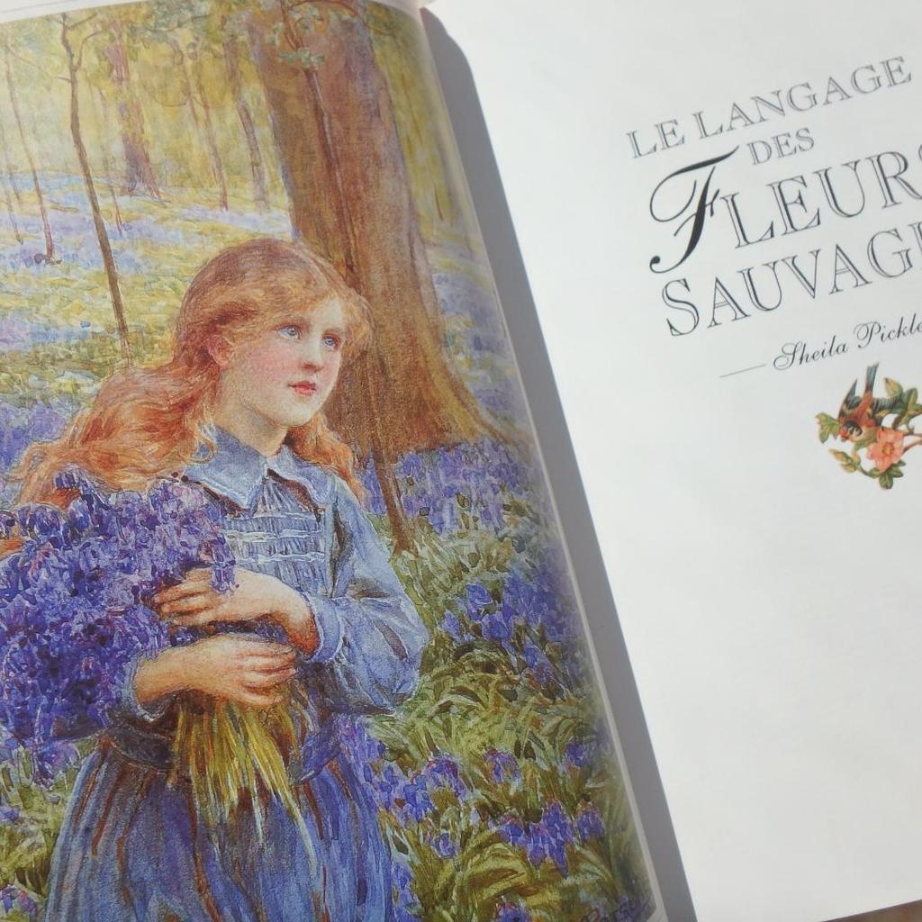 [Б/У] Язык Диких Цветов: Язык цветов на французском
