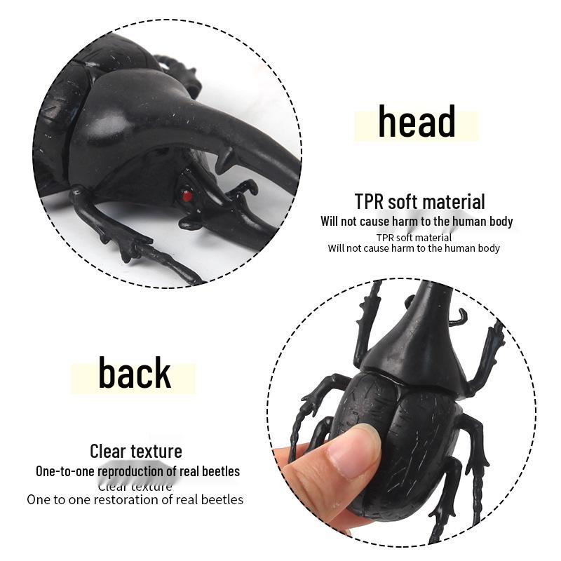 Floating Beetle Series: Simulation Animal Toys for Children's Cognitive Development