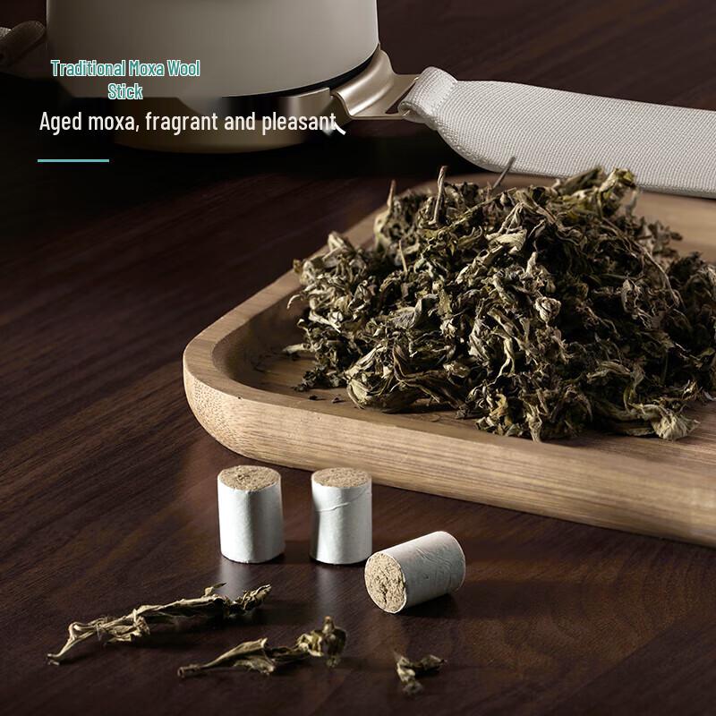 Philips Mugwort Hot Compress Neck Massager