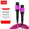 Shengwei 400G/800G Data Center MPO OM4 Fiber Patch Cable
